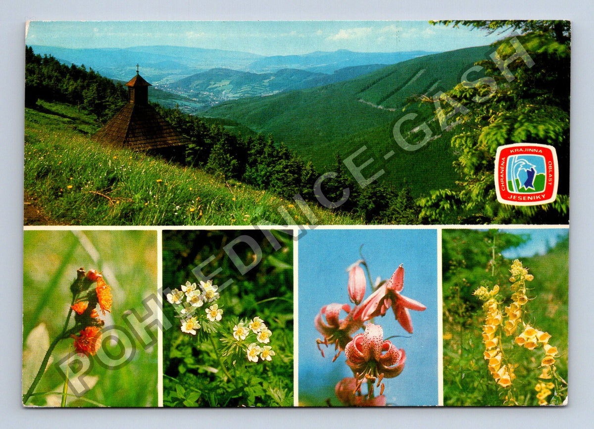 Pohlednice Chráněná krajinná oblast Jeseníky kaple květena (M41370)