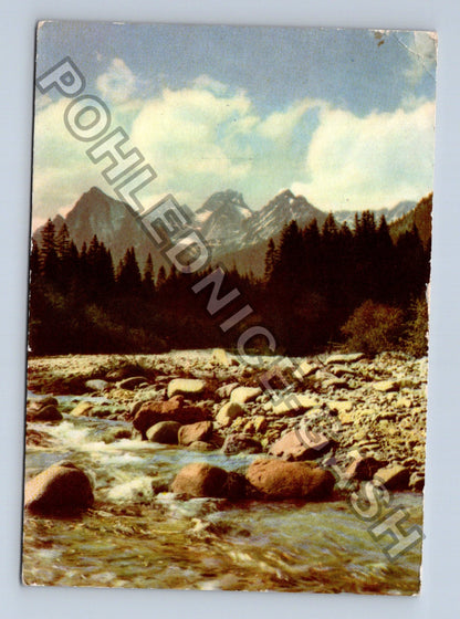 Pohlednice VYSOKÉ TATRY Zádná dolina Bielovodská 1962 (M41371)