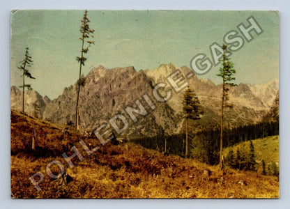 Pohlednice Slovensko Vysoké Tatry Kôpky Zlobivá Vysoká (M41372)