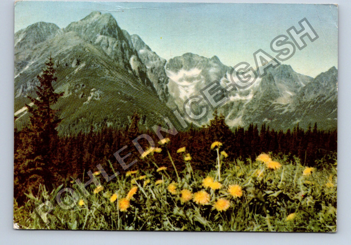 Pohlednice VYSOKÉ TATRY Dolina Zeleného plesa (M41375)