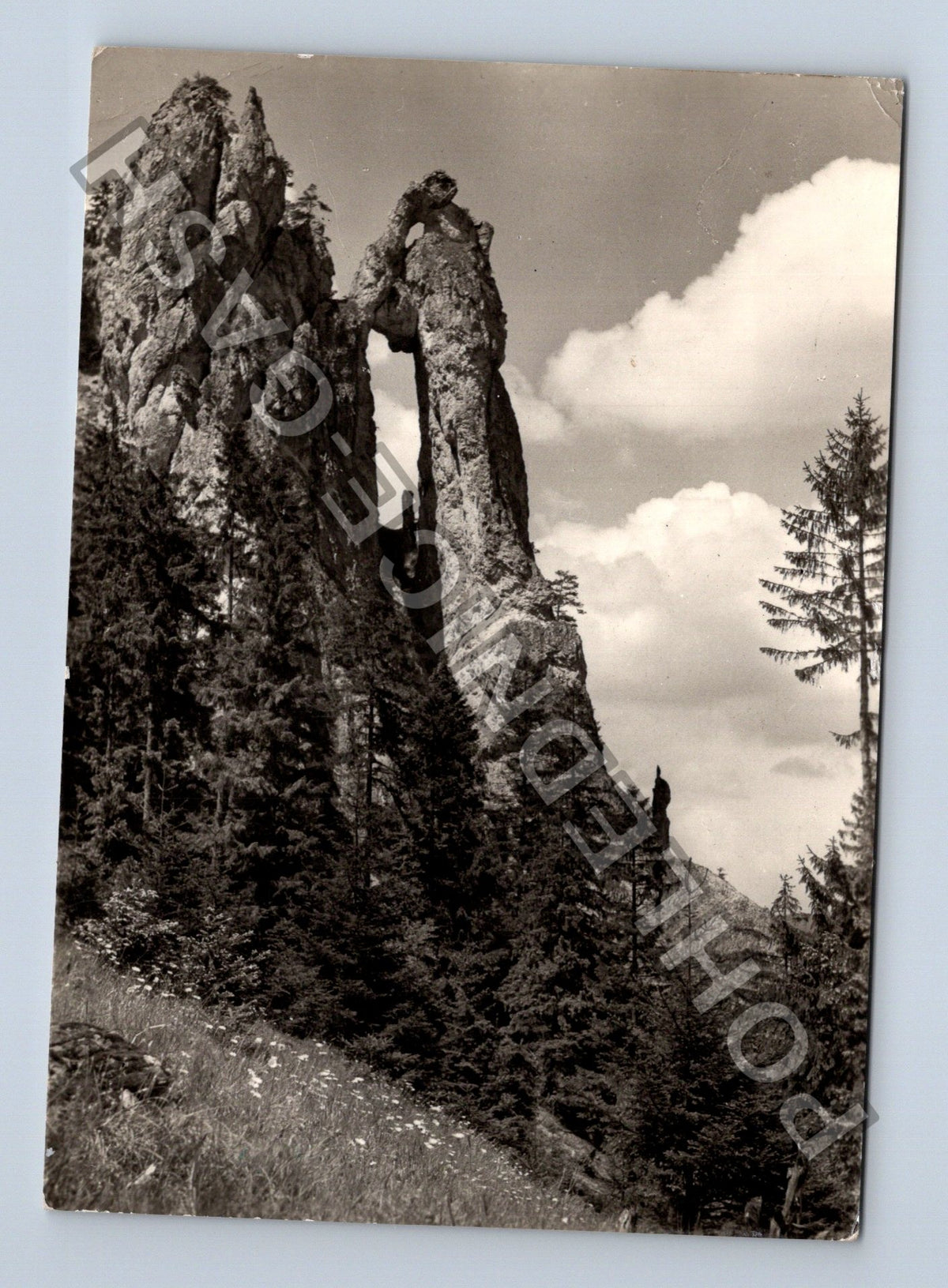 Pohlednice Malá Fatra Mnich ve Vratné doline 1968 (M41382)