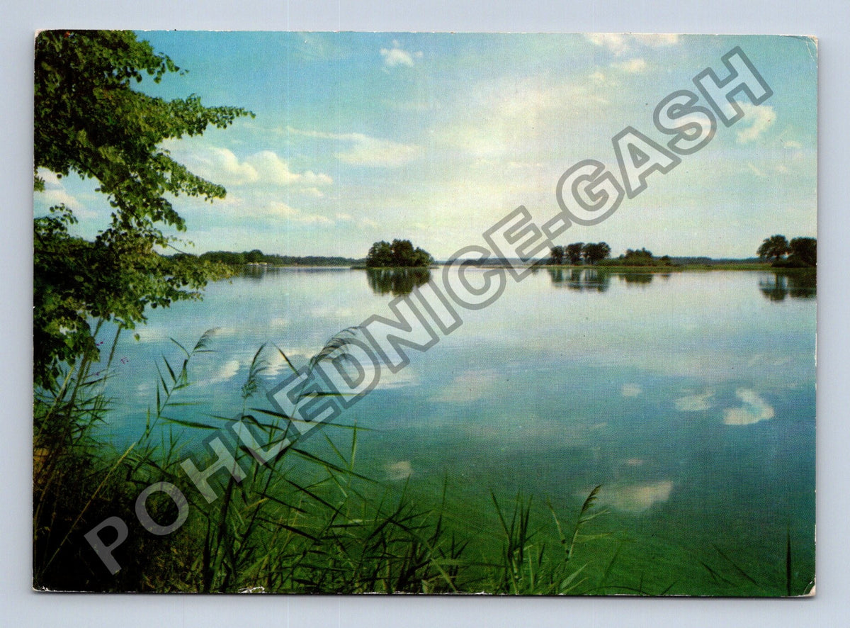 Pohlednice Jezero s ostrovy a rákosím (M41451)