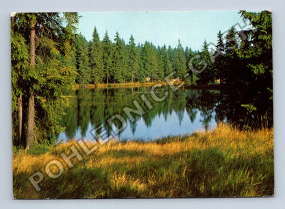 Pohlednice Jezero les stromy (M41453)