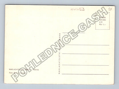 Pohlednice Jezero les stromy (M41453)
