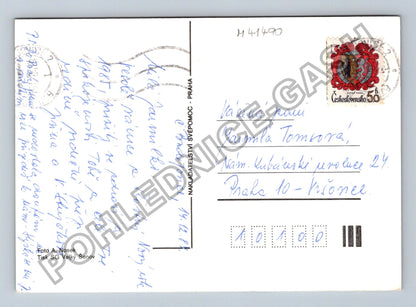Pohlednice Zátiší jablka ořechy jehličí (M41490)