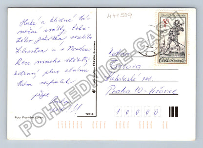 Pohlednice Zasněžené stromy zima (M41509)