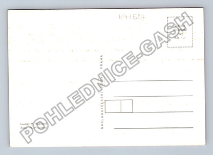 Pohlednice Loutky M Růžková H Misurová kuchař princezna (M41524)