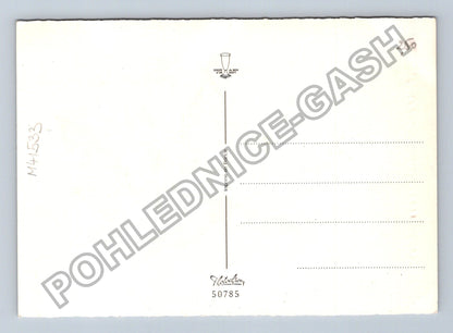 Pohlednice Francie konvalinky Porte Bonheur (M41533)