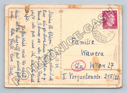 Pohlednice Německo Kvetoucí divizna 1944 (M41535)