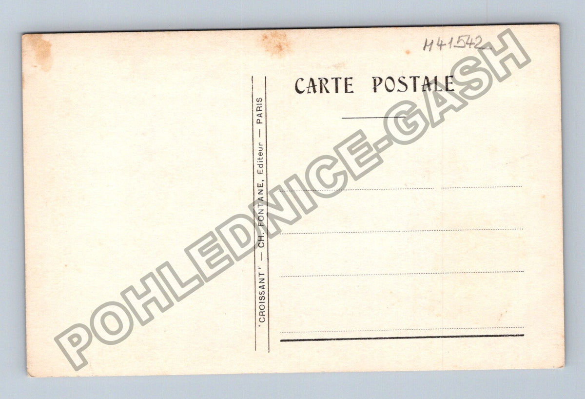 Pohlednice Francie La Charité vyšívané růže (M41542)
