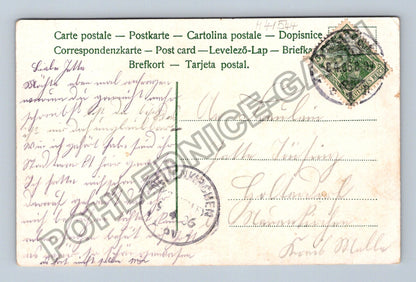 Pohlednice Německo květiny růže psané přání 1906 (M41544)
