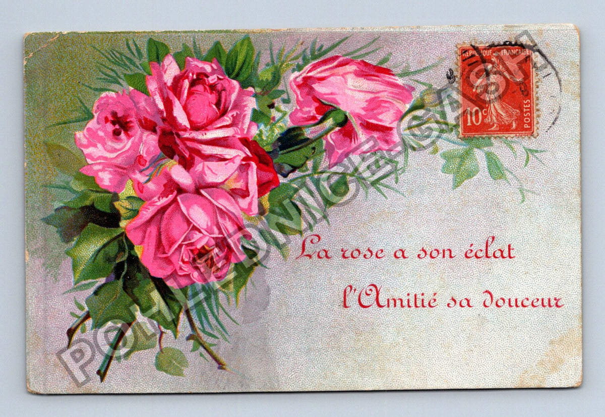 Pohlednice Francie kytice růží La rose a son éclat (M41546)