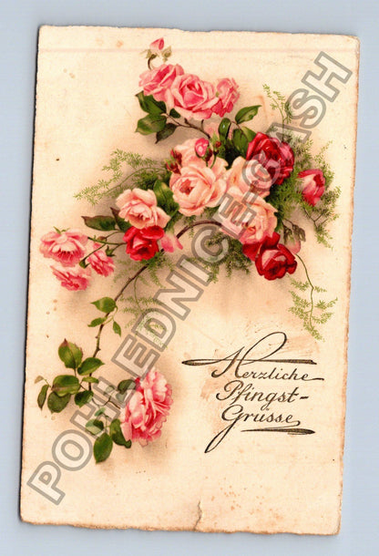 Pohlednice Německo Herzliche Pfingst-Grüsse růže 1908 (M41562)
