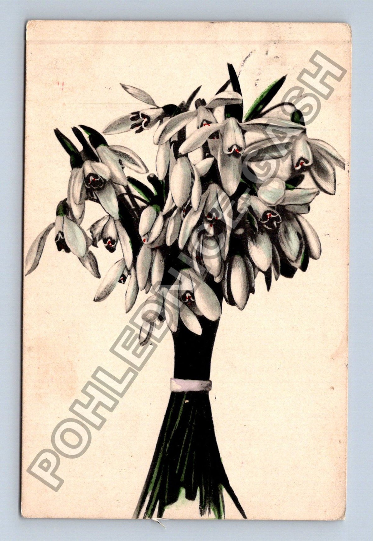 Pohlednice Německo Kiel sněženky 1913 (M41566)