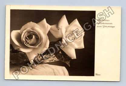 Pohlednice Německo růže k narozeninám 1937 (M41567)