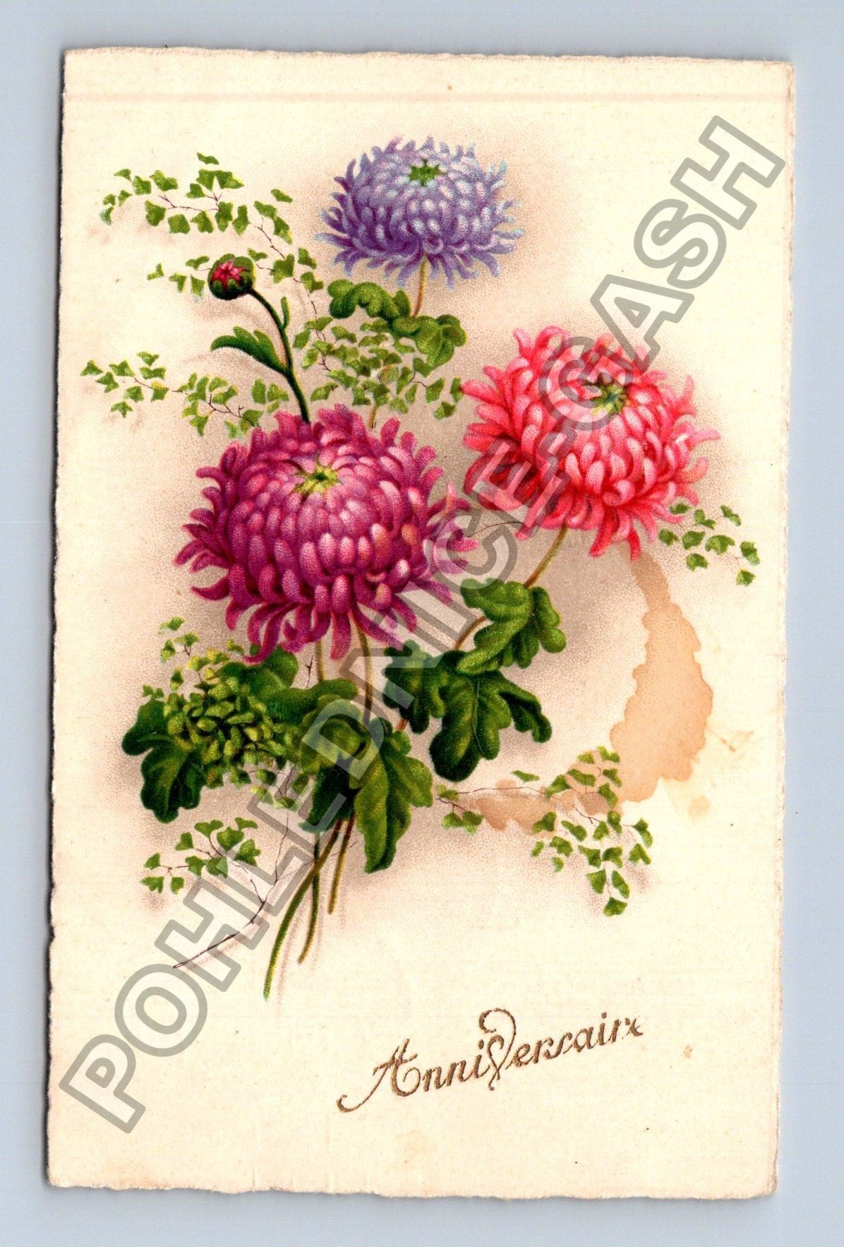 Pohlednice Francie Anniversaire květiny 1913 (M41574)