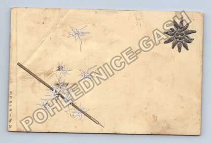 Pohlednice Rakousko alpská protěž Edelweiss (M41580)