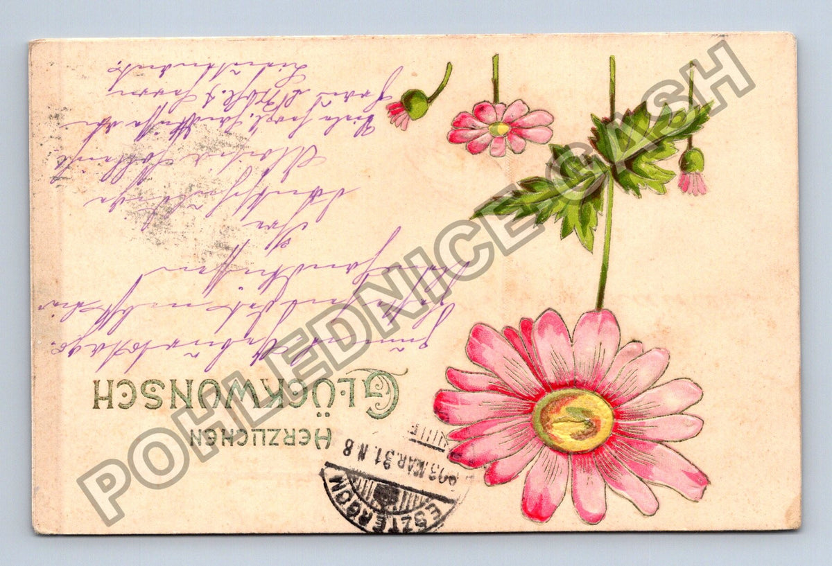 Pohlednice Maďarsko Graz květiny blahopřání 1903 (M41589)