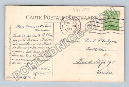 Pohlednice Belgie Novoroční přání chryzantémy 1911 (M41592)