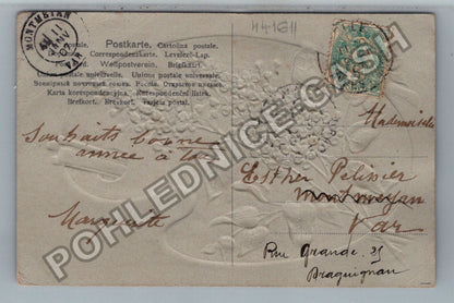 Pohlednice Francie kytice šeříku na paletě (M41611)