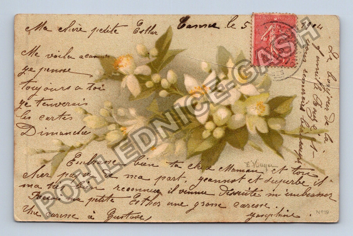 Pohlednice Francie květy pomerančovníku 1904 (M41614)