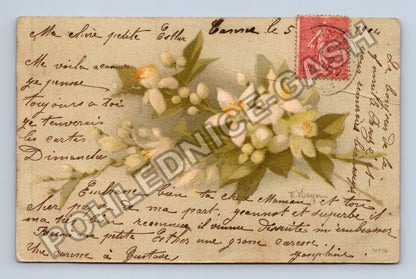 Pohlednice Francie květy pomerančovníku 1904 (M41614)