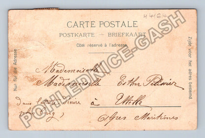 Pohlednice Francie květy pomerančovníku 1904 (M41614)