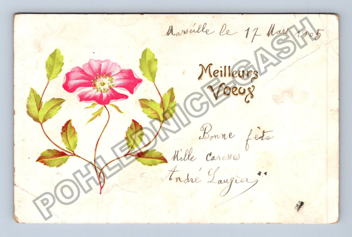 Pohlednice Francie Marseille květina blahopřání 1905 (M41615)