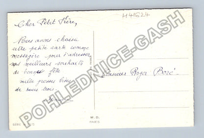 Pohlednice Francie zahrada studna květiny (M41624)