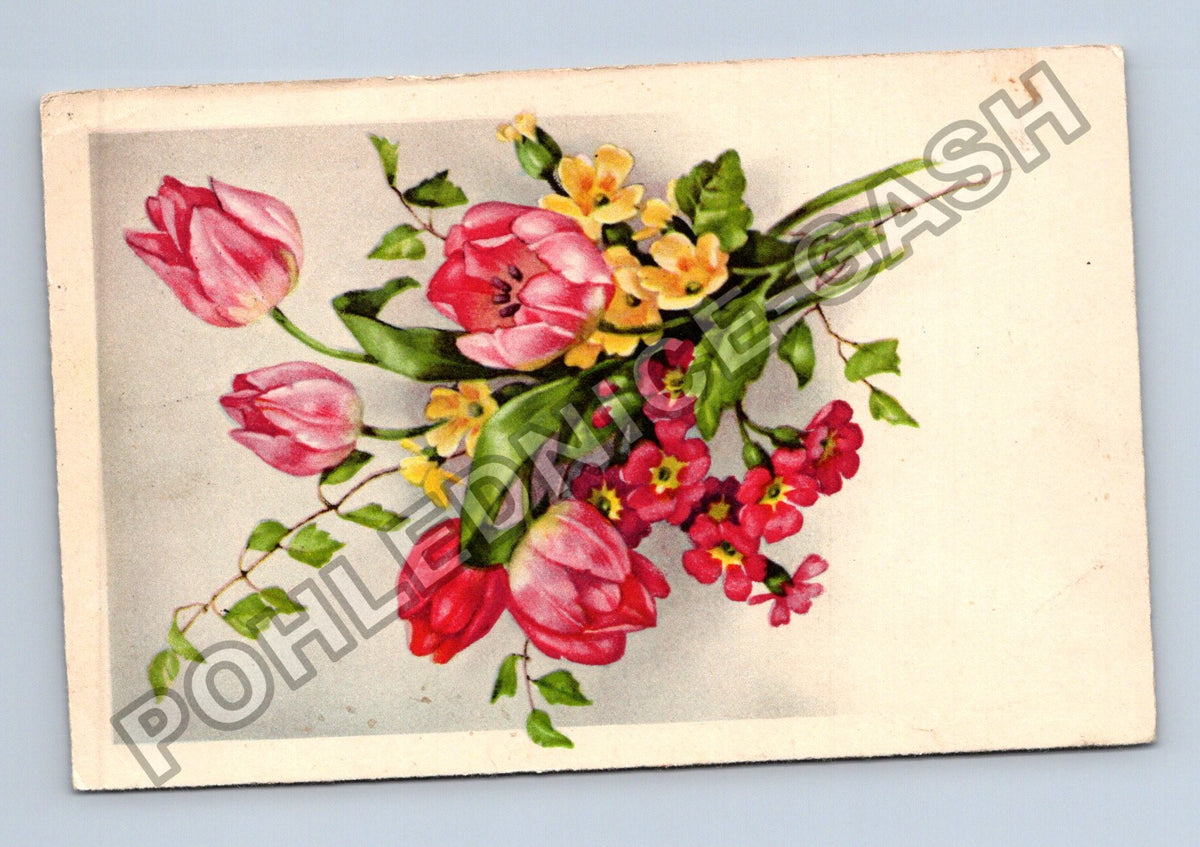 Pohlednice Německo kytice tulipány a prvosenky (M41628)