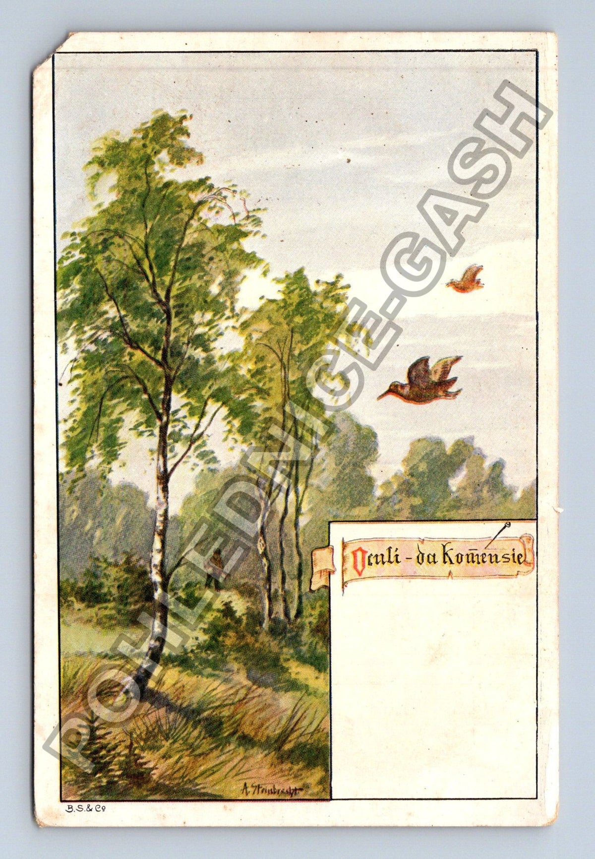 Pohlednice myslivec v lese lov ptáků (M41631)