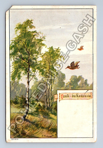 Pohlednice myslivec v lese lov ptáků (M41631)