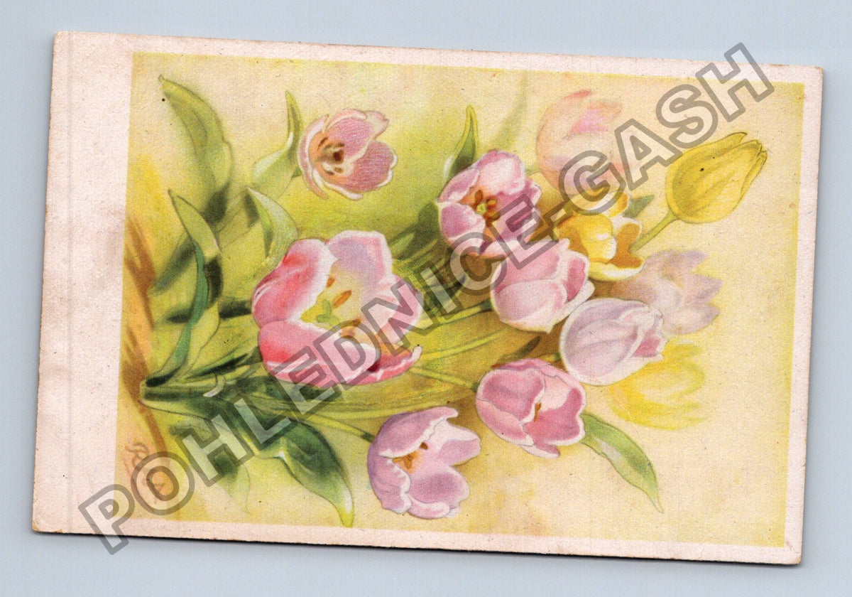 Pohlednice Německo Kytice tulipánů (M41641)