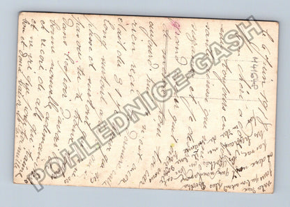 Pohlednice Květiny karafiáty Sabag 1917 (M41648)