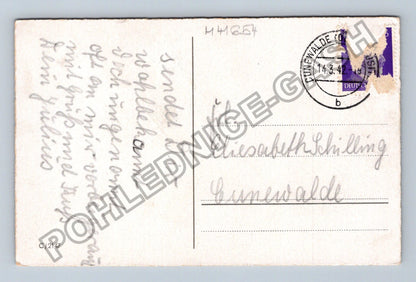 Pohlednice Německo Kunewalde květiny blahopřání 1919 (M41654)