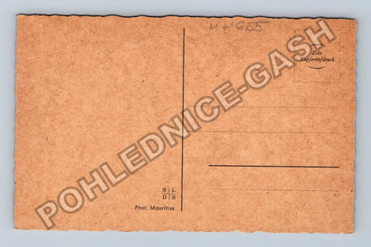 Pohlednice Slunečnice Echt Kupfertieferdruck (M41655)