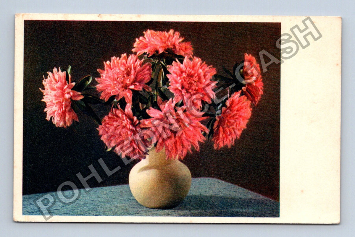 Pohlednice Německo kytice aster Feldpost 1942 (M41658)