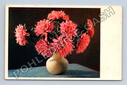 Pohlednice Německo kytice aster Feldpost 1942 (M41658)