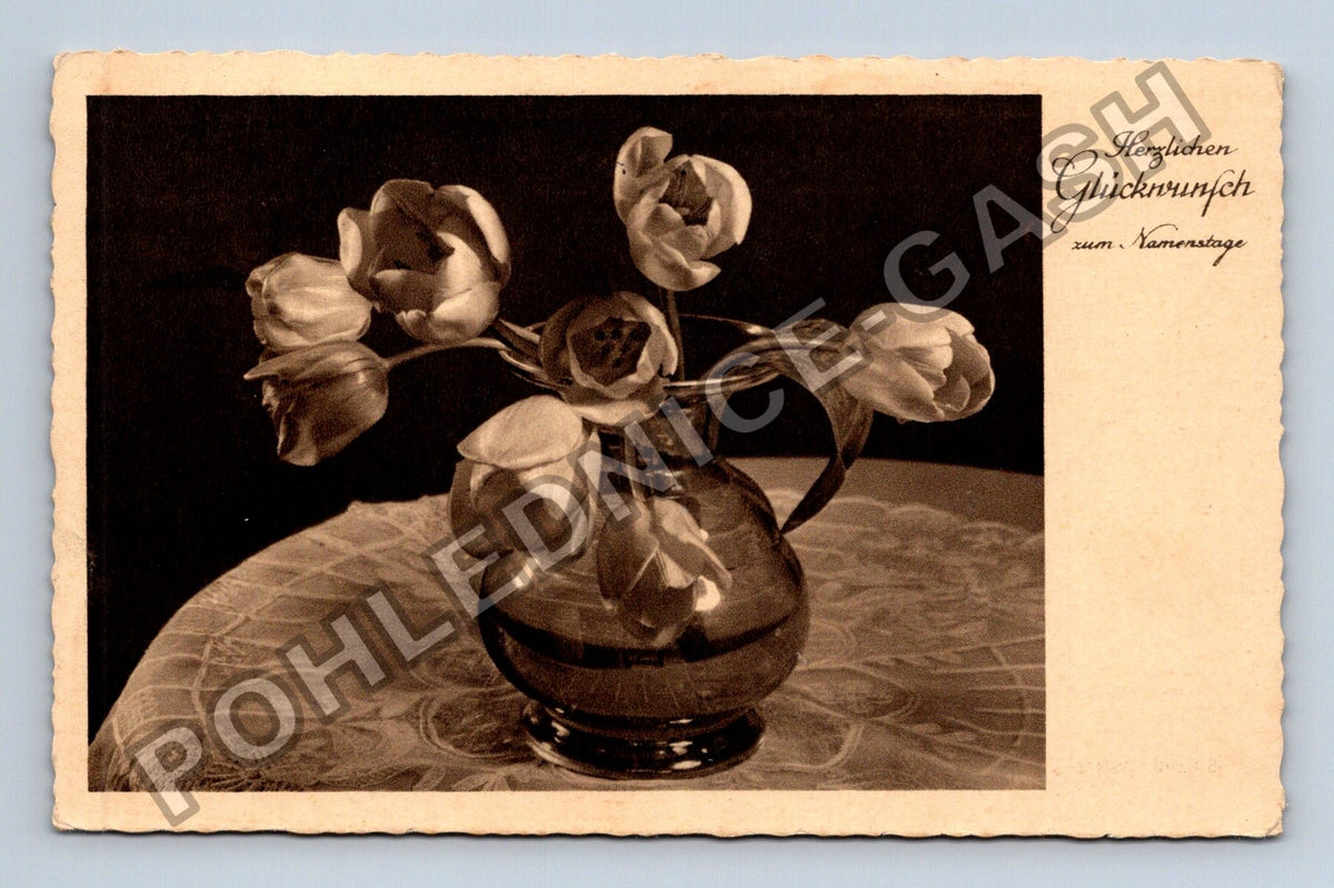 Pohlednice Německo Kytice tulipánů Herzlichen Glückwunsch (M41660)