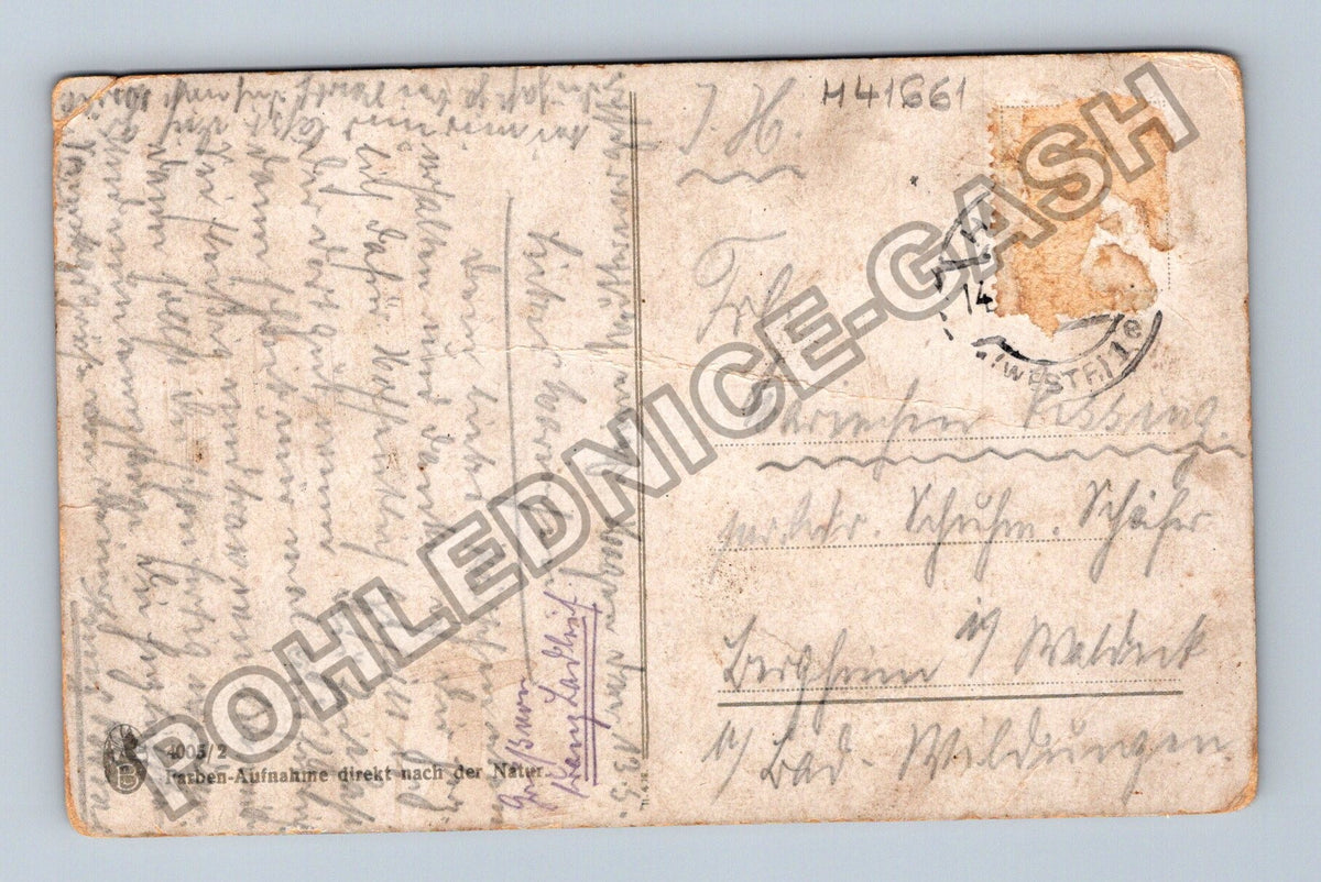 Pohlednice Kytice ve váze (M41661)