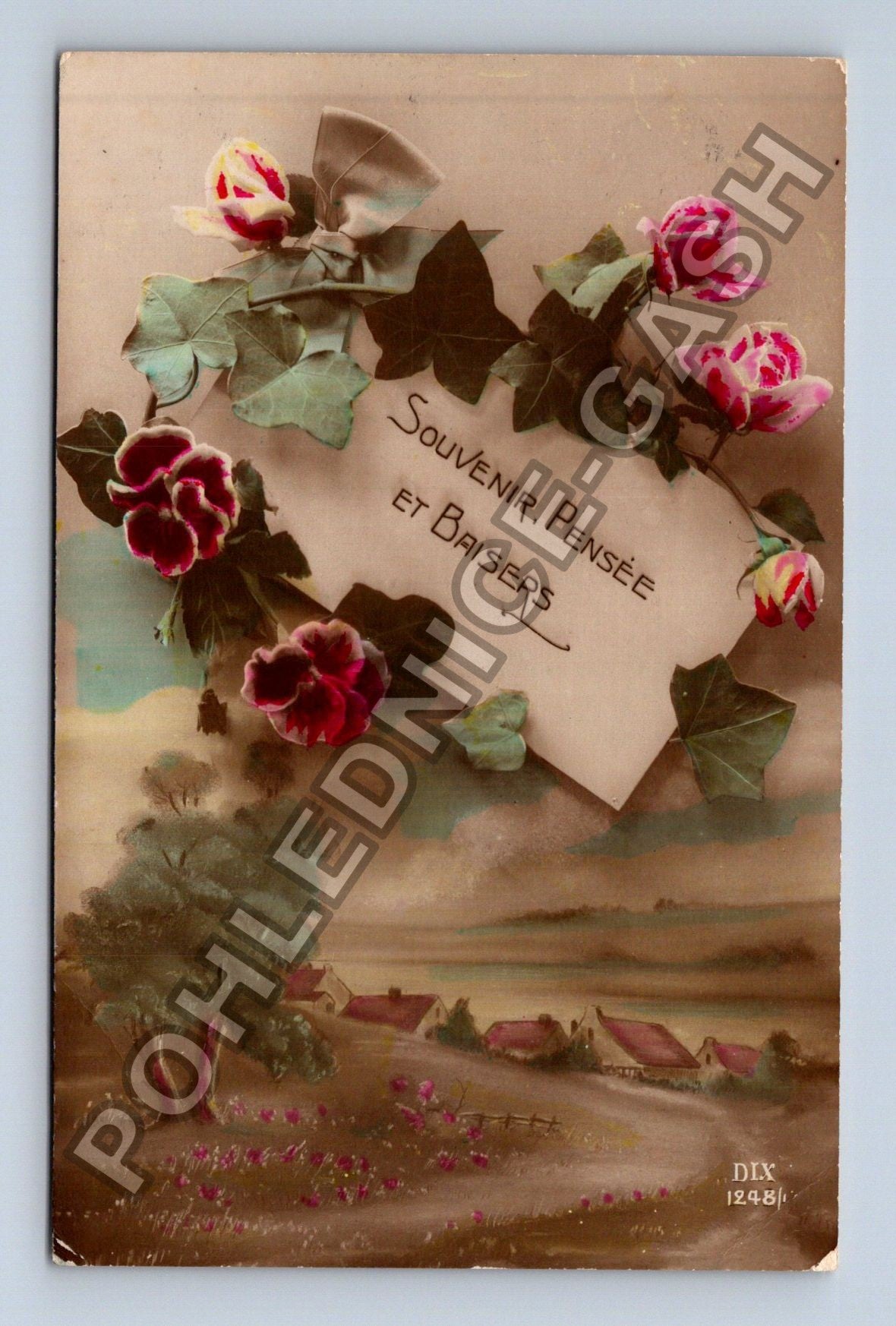 Pohlednice Francie Souvenir Pensée Et Baisers (M41663)