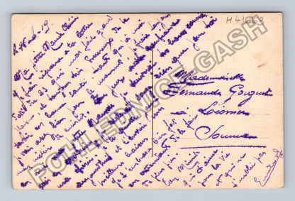 Pohlednice Francie Souvenir Pensée Et Baisers (M41663)