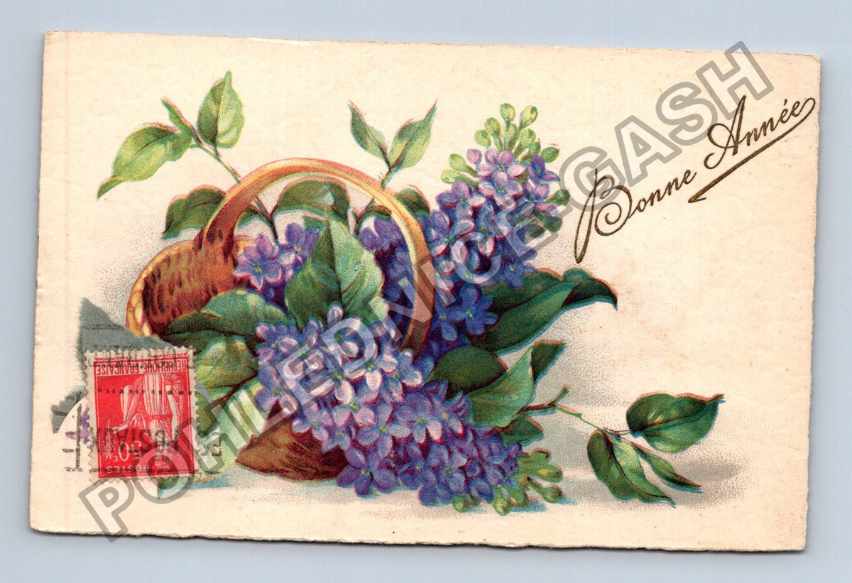 Pohlednice Francie Novoroční Kytice šeříku Bonne Année (M41665)