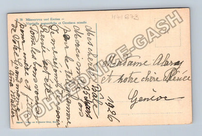 Pohlednice Švýcarsko Květiny Männertreu Enzian 1926 (M41673)