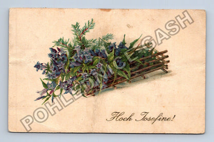 Pohlednice Rakousko Kytice květin Hoch Josefine 1900 (M41675)