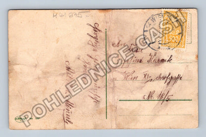 Pohlednice Rakousko Kytice květin Hoch Josefine 1900 (M41675)
