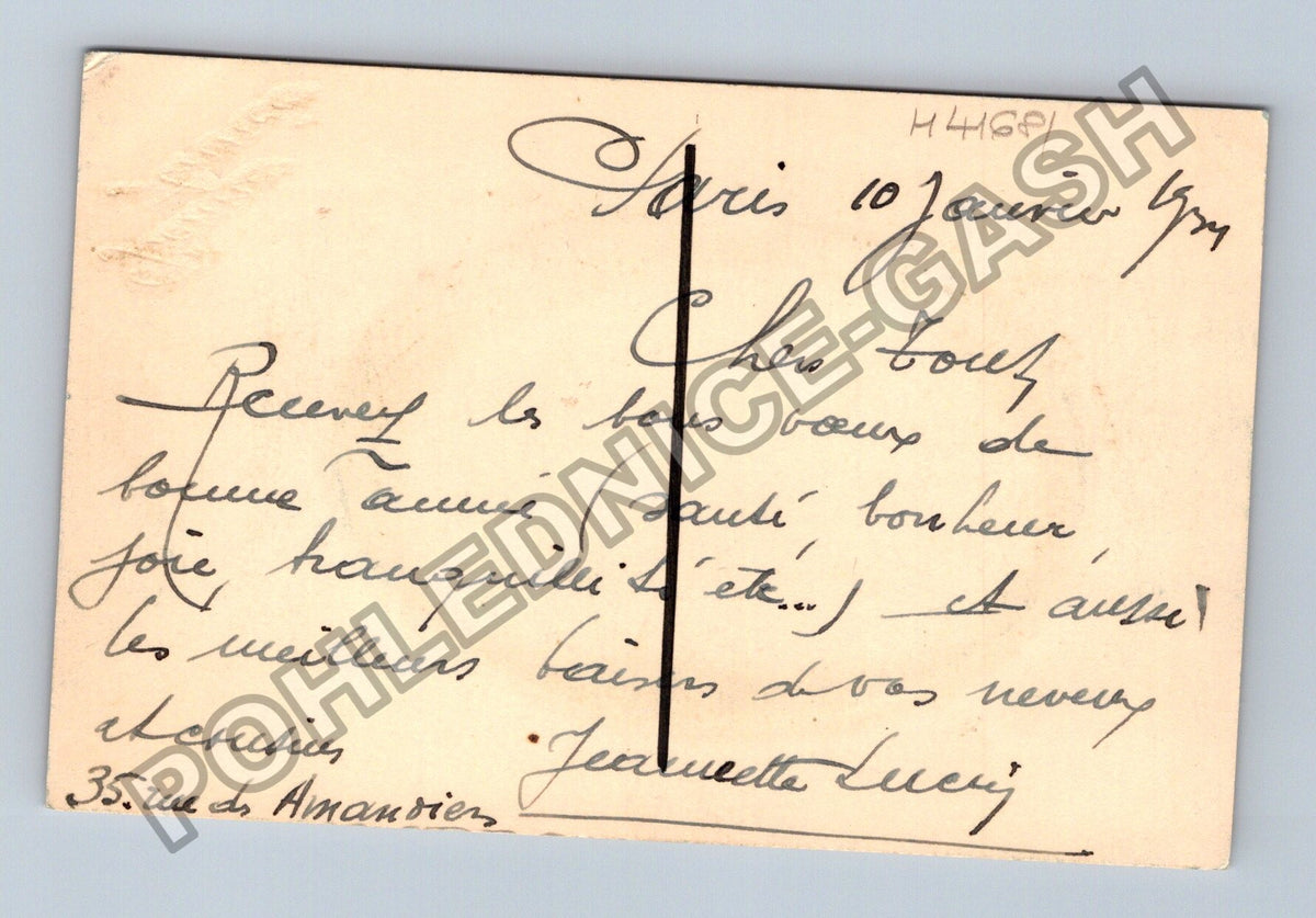 Pohlednice Francie Novoroční Kytice fialek 1904 (M41681)