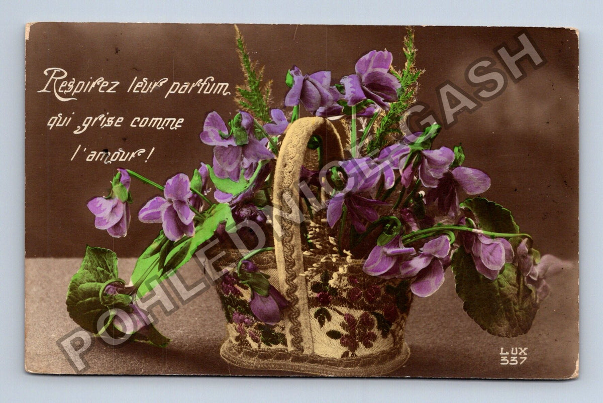 Pohlednice Francie košík fialek nápis Respire leur parfum (M41682)