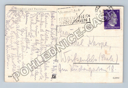 Pohlednice Německo květiny prvosenky violky Ursula Spenz (M41687)