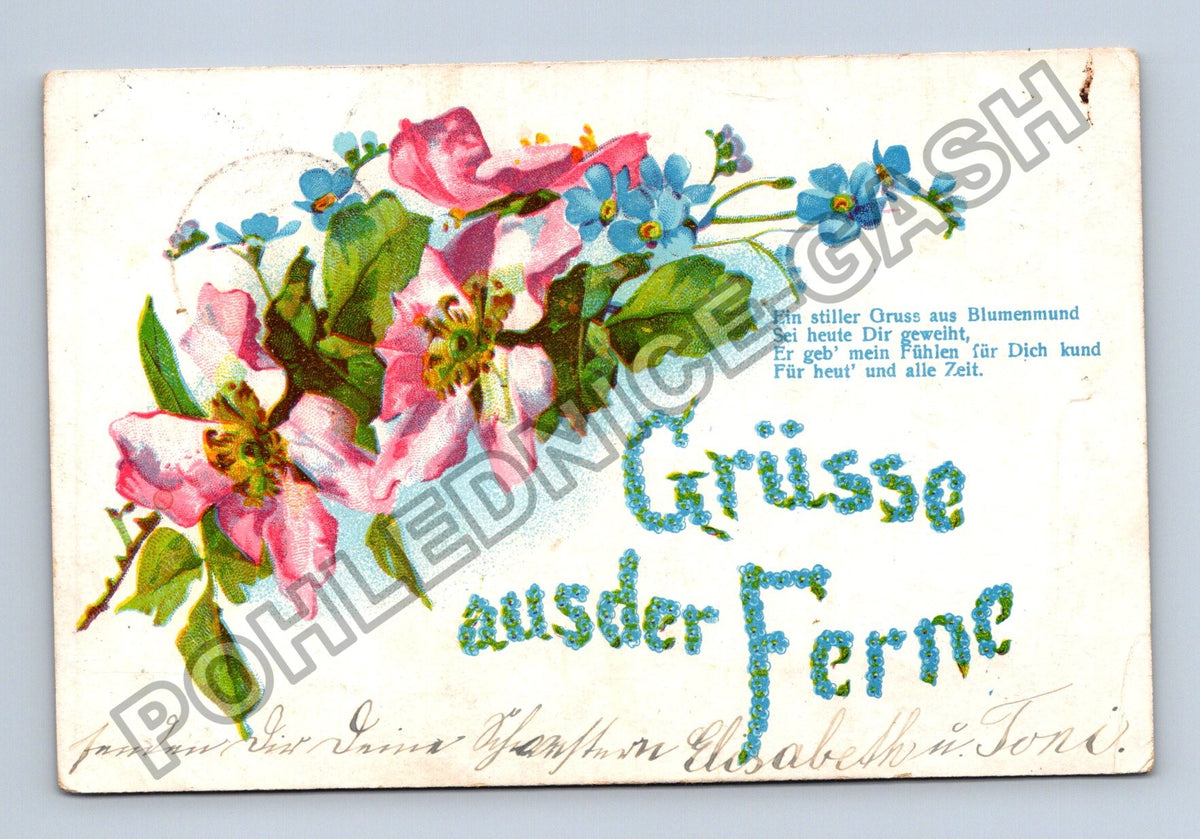 Pohlednice Rakousko květiny Grüsse aus der Ferne 1907 (M41699)